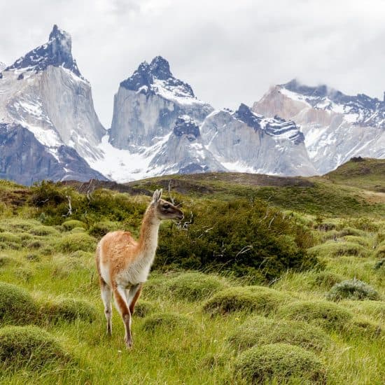 Viaja por Chile: Descubre lo que está cerca