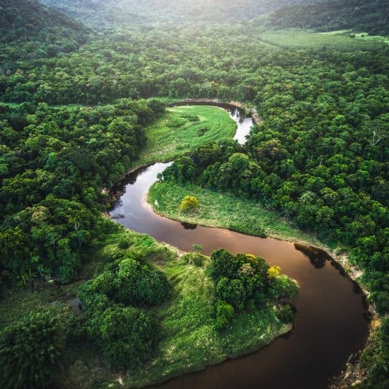 Conecta con la Naturaleza: Paisajes que transforman